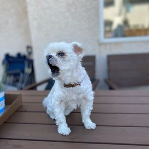 Meet your Posher, Sue